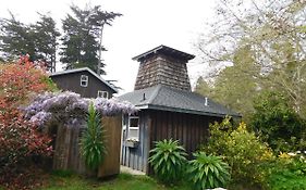 Lodging And Llamas
